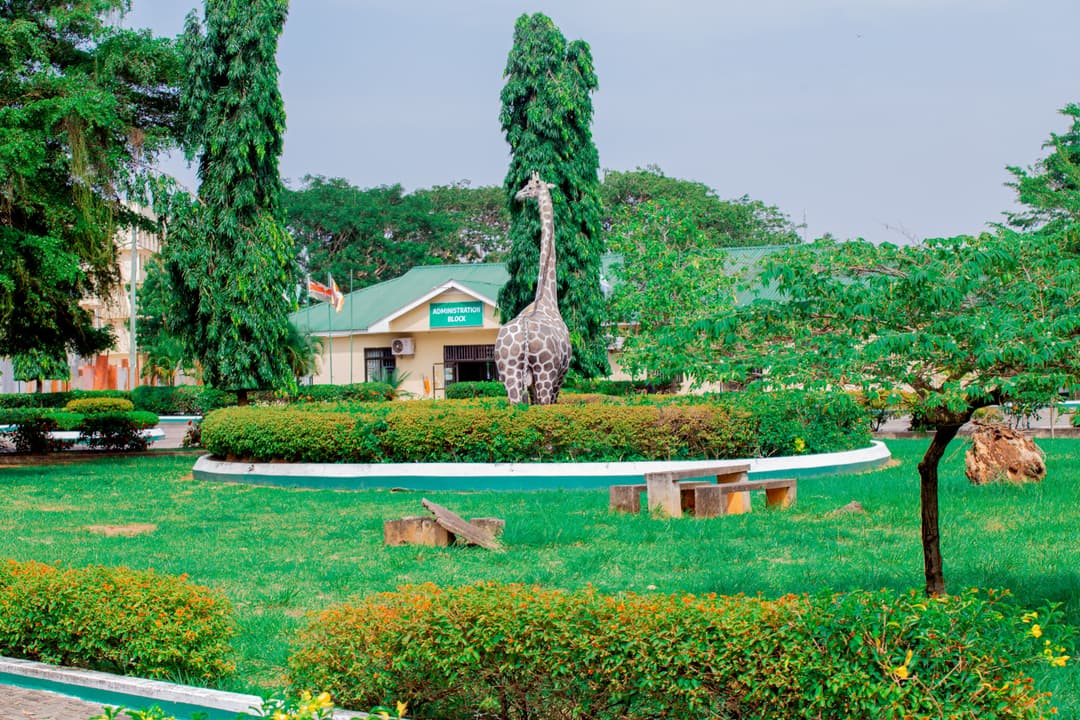 Quality Plaza Building, KIU-DCC's second home