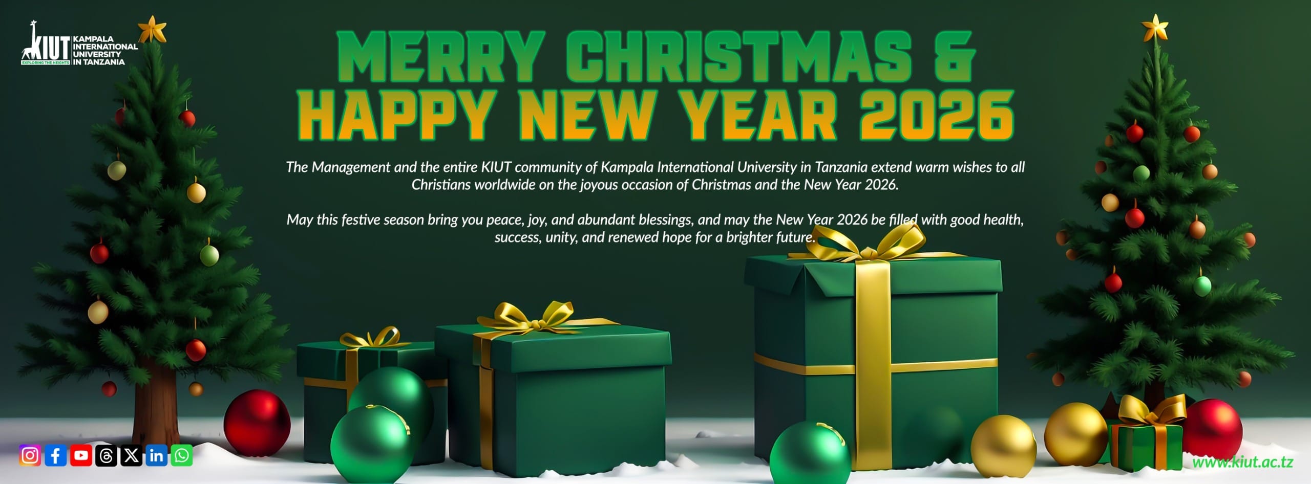 Students collaborating on a research project